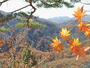 揭秘天门山，探寻其名字背后的神秘传说与文化内涵（天门山为什么叫天门山?