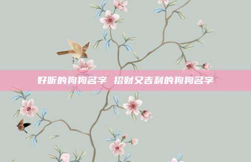 好听的狗狗名字 招财又吉利的狗狗名字