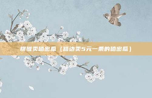 摆摊卖哈密瓜（路边卖5元一条的哈密瓜）