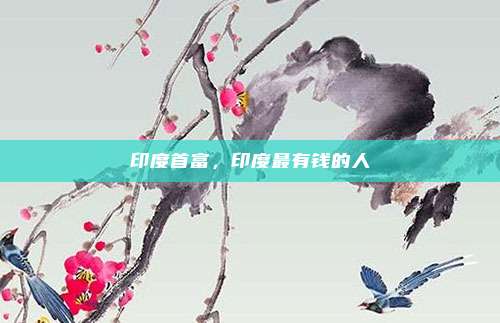 印度首富,印度最有钱的人