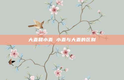 大麦和小麦 小麦与大麦的区别