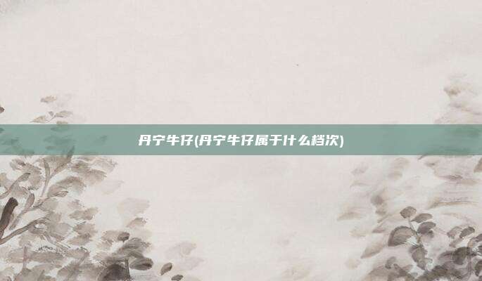 丹宁牛仔(丹宁牛仔属于什么档次)