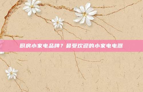 厨房小家电品牌?最受欢迎的小家电电器