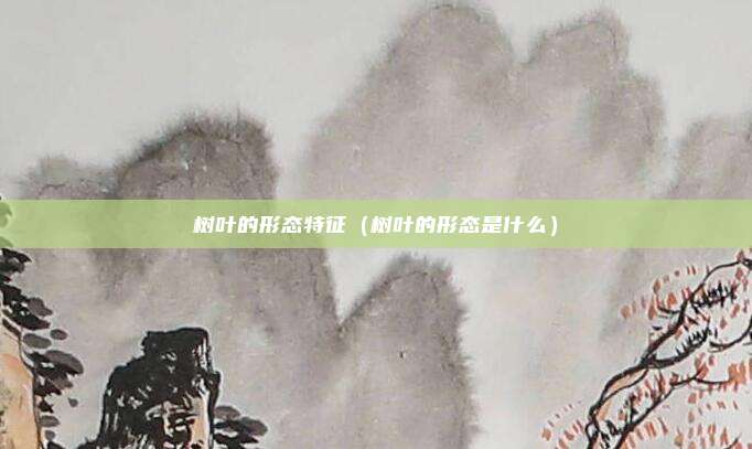 树叶的形态特征（树叶的形态是什么）