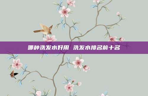 哪种洗发水好用 洗发水排名前十名