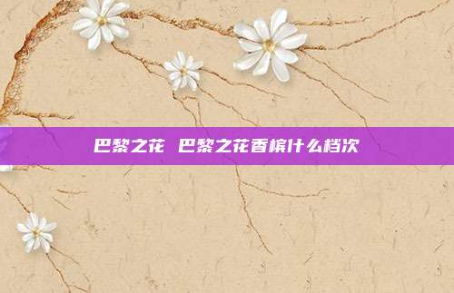 巴黎之花 巴黎之花香槟什么档次