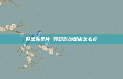 好想你枣片 好想你加盟店怎么样
