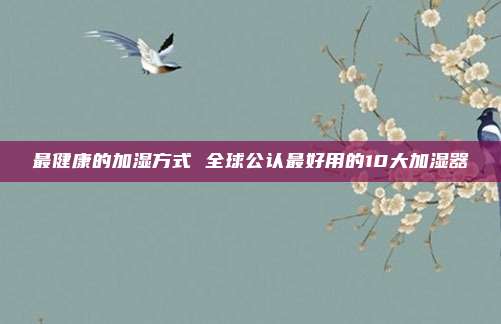 最健康的加湿方式 全球公认最好用的10大加湿器