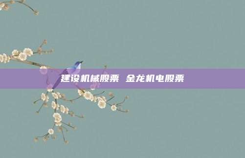 建设机械股票 金龙机电股票