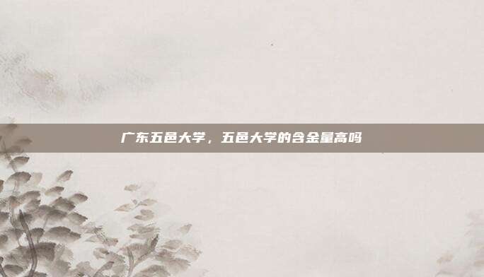 广东五邑大学,五邑大学的含金量高吗