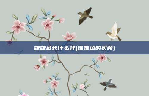 娃娃鱼长什么样(娃娃鱼的视频)