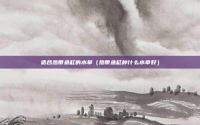 适合热带鱼缸的水草（热带鱼缸种什么水草好）
