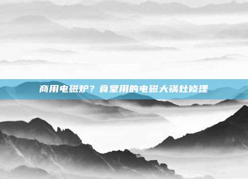商用电磁炉？食堂用的电磁大锅灶修理
