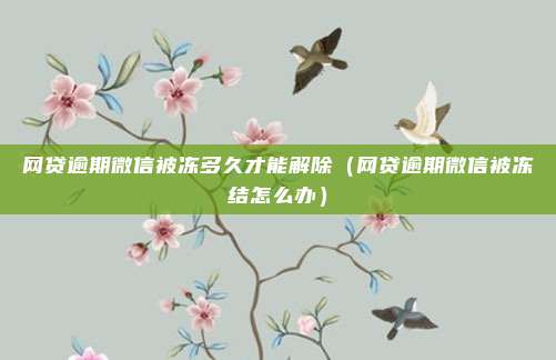网贷逾期微信被冻多久才能解除(网贷逾期微信被冻结怎么办)