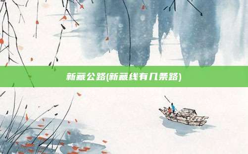 新藏公路(新藏线有几条路)