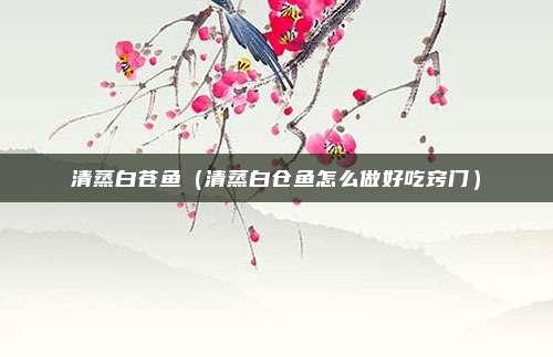 清蒸白苍鱼（清蒸白仓鱼怎么做好吃窍门）