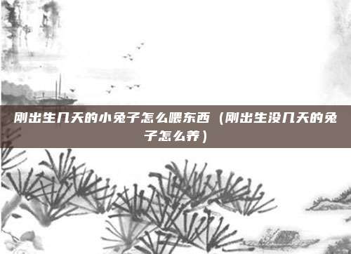 刚出生几天的小兔子怎么喂东西（刚出生没几天的兔子怎么养）