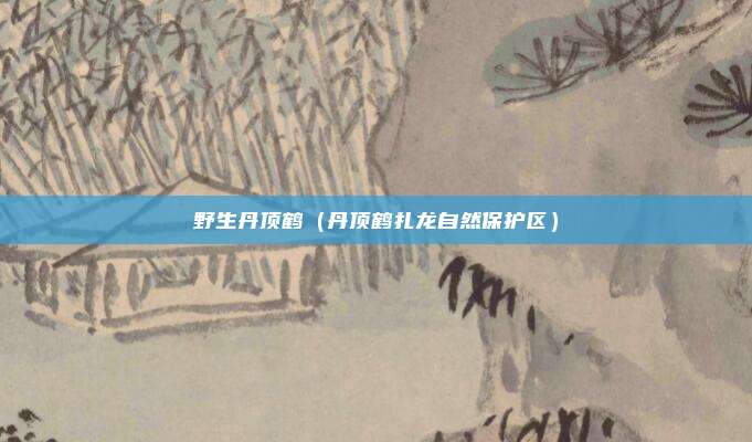 野生丹顶鹤（丹顶鹤扎龙自然保护区）