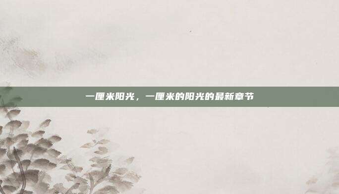 一厘米阳光,一厘米的阳光的最新章节
