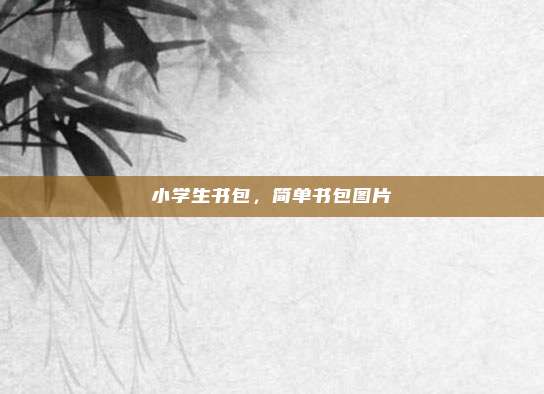 小学生书包,简单书包图片