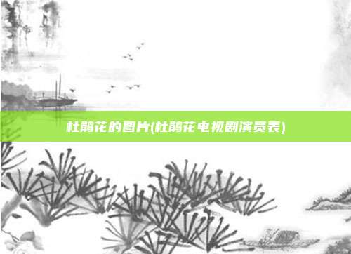 杜鹃花的图片(杜鹃花电视剧演员表)