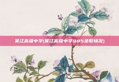 吴江高级中学(吴江高级中学985录取情况)