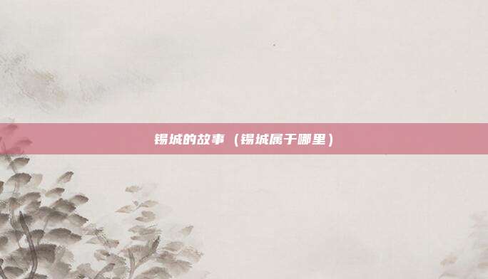 锡城的故事（锡城属于哪里）