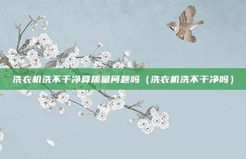 洗衣机洗不干净算质量问题吗（洗衣机洗不干净吗）