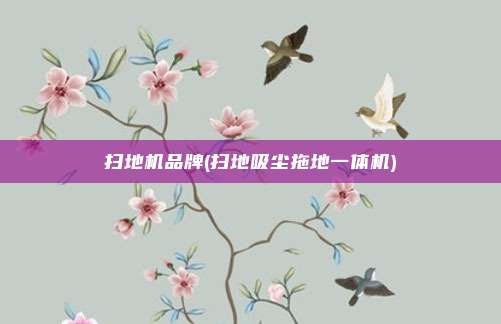 扫地机品牌(扫地吸尘拖地一体机)