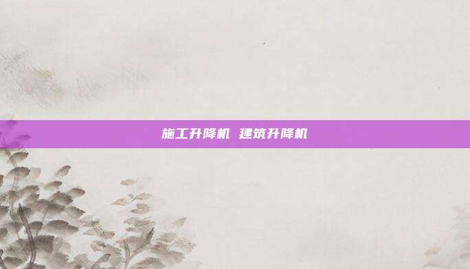 施工升降机 建筑升降机