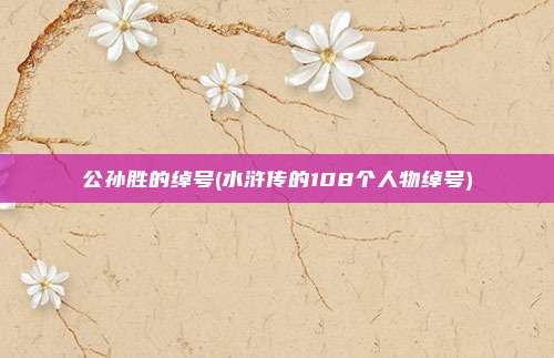 公孙胜的绰号(水浒传的108个人物绰号)