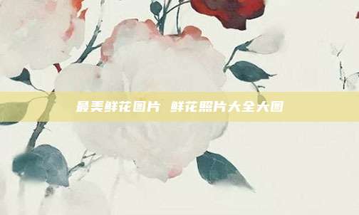最美鲜花图片 鲜花照片大全大图