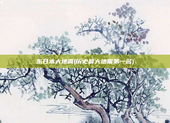 东日本大地震(历史最大地震第一名)