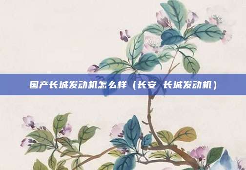 国产长城发动机怎么样（长安 长城发动机）