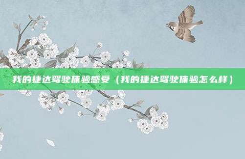 我的捷达驾驶体验感受（我的捷达驾驶体验怎么样）