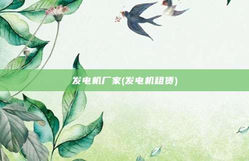 发电机厂家(发电机租赁)