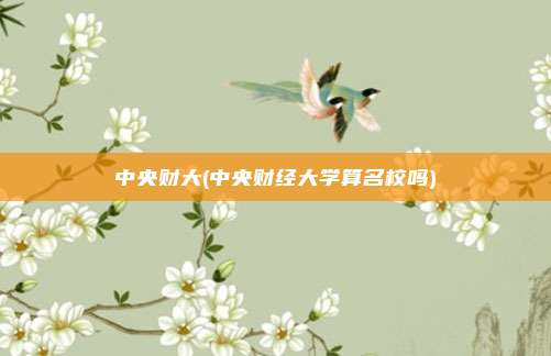 中央财大(中央财经大学算名校吗)