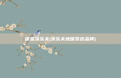 德国沃乐夫(沃乐夫地暖系统品牌)