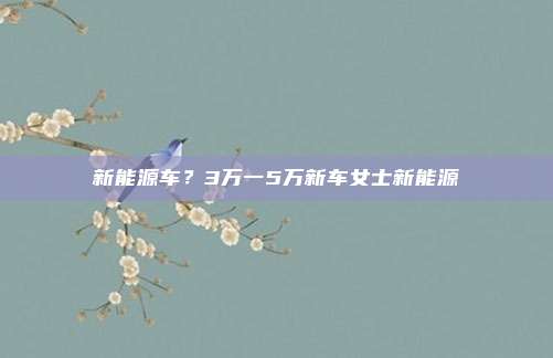 新能源车?3万一5万新车女士新能源