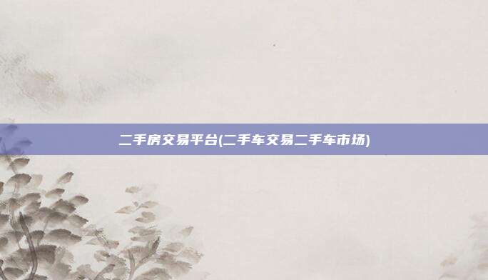二手房交易平台(二手车交易二手车市场)