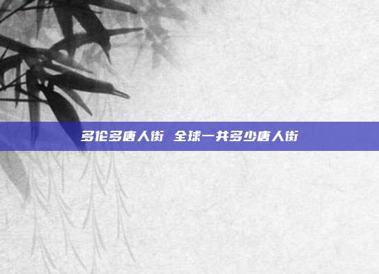 多伦多唐人街 全球一共多少唐人街