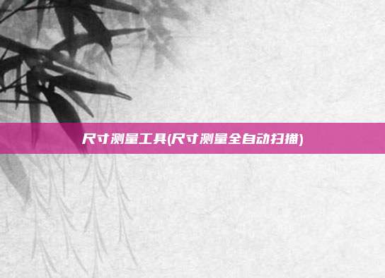 尺寸测量工具(尺寸测量全自动扫描)