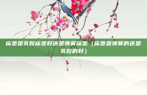 床垫是乳胶床垫好还是弹簧床垫(床垫是弹簧的还是乳胶的好)