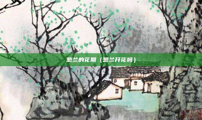 葱兰的花期(葱兰开花吗)