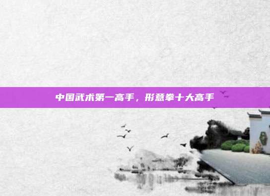 中国武术第一高手，形意拳十大高手