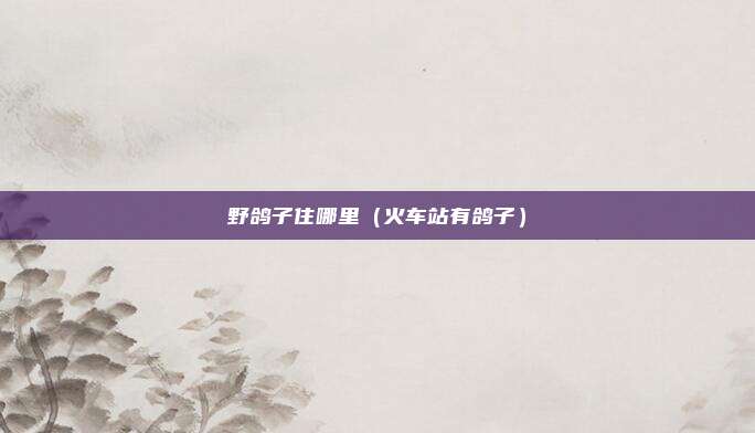 野鸽子住哪里（火车站有鸽子）