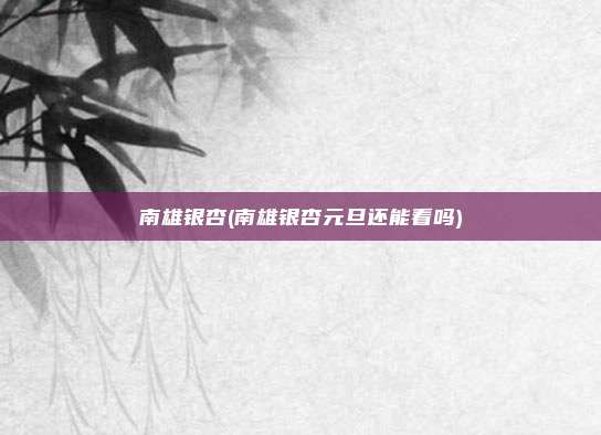 南雄银杏(南雄银杏元旦还能看吗)