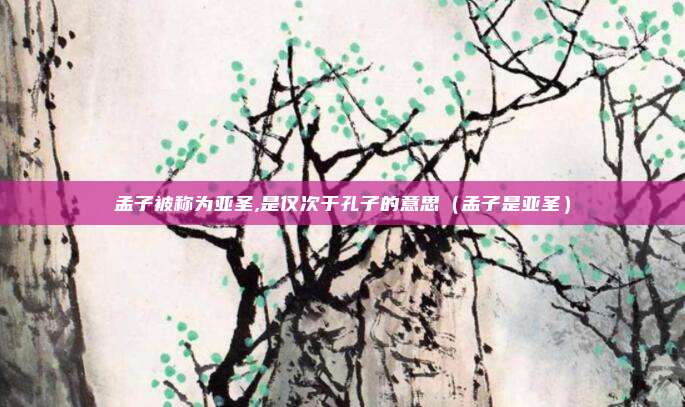 孟子被称为亚圣,是仅次于孔子的意思（孟子是亚圣）