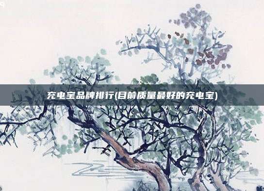 充电宝品牌排行(目前质量最好的充电宝)