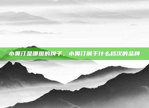 小奥汀是哪国的牌子，小奥汀属于什么档次的品牌